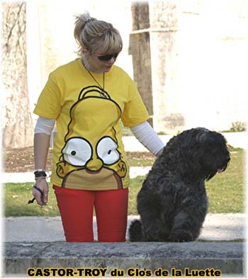 bouvier des flandres du clos de la luette - copyright d&eacute;pos&eacute;